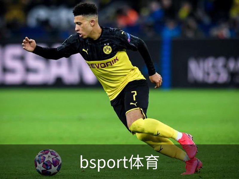 bsport体育介绍